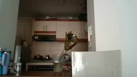 sarita_start online show from May 11, 3:40 pm