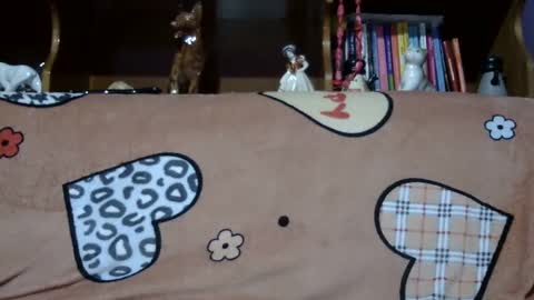 Sarra online show from January 21, 2:37 pm