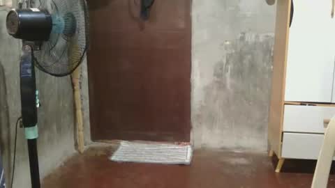 sassycass_cummerx online show from January 11, 7:24 am