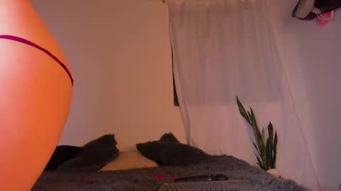   online show from February 26, 11:53 am