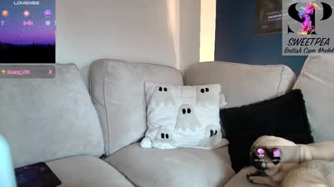 short sweetpea online show from March 27, 1:12 pm