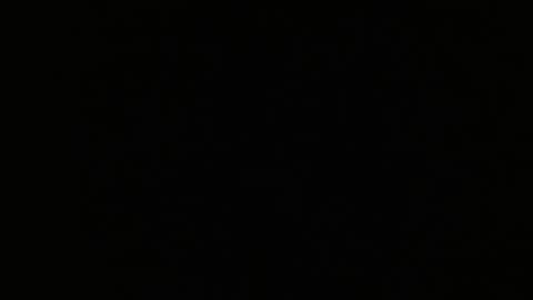 Bree online show from March 26, 9:11 am