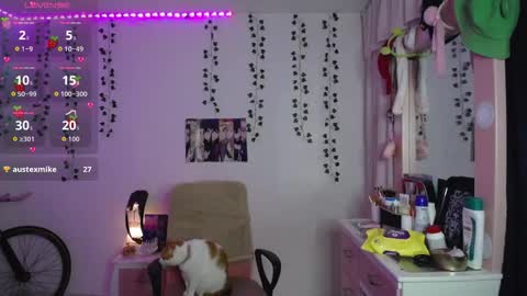 Sunset online show from January 9, 5:34 am