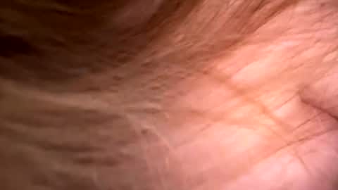 Lisa  online show from April 8, 11:45 am