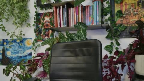 Tali Majid online show from March 31, 8:31 pm