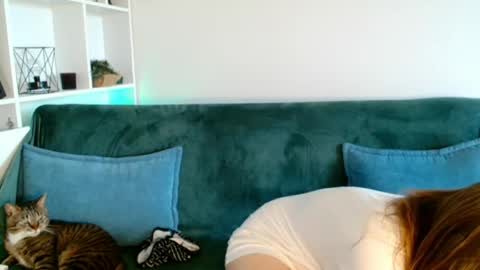 tiff online show from May 22, 10:57 am