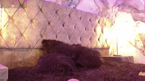 Vane  online show from March 28, 2:55 am