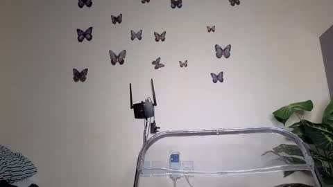 verygoodbadgirl_ebony online show from April 5, 6:56 am