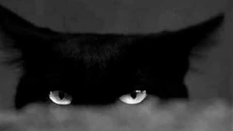 Gabriela online show from April 13, 5:47 pm