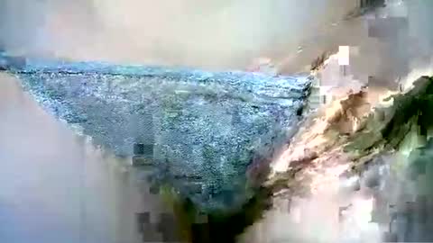 Love online show from June 1, 6:20 pm