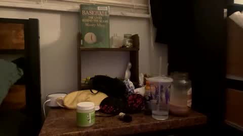 yanyanpixie online show from March 9, 4:59 am