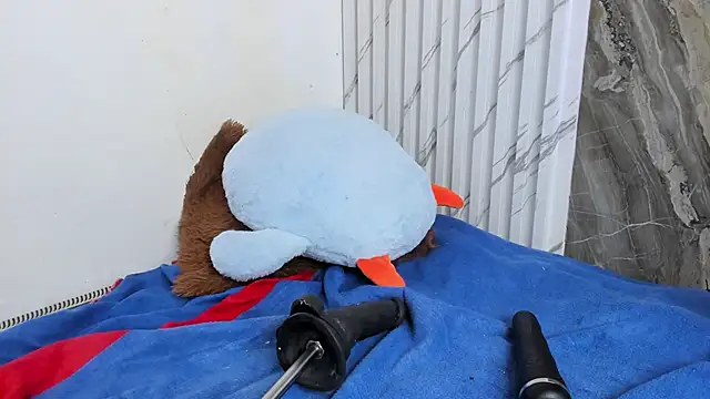 annie wigg online show from March 22, 8:20 am