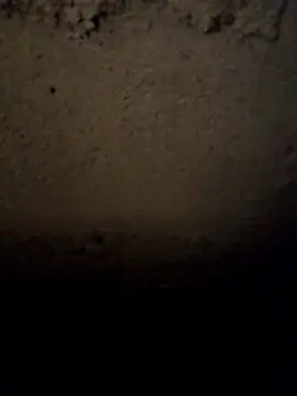 Camila erotica online show from March 31, 3:56 pm