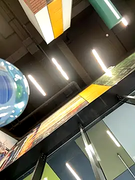 eveangelll online show from November 19, 8:58 am