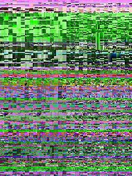 Rose berry online show from March 16, 6:39 am