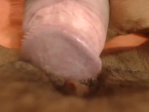 lolamike19 online show from November 14, 9:48 pm