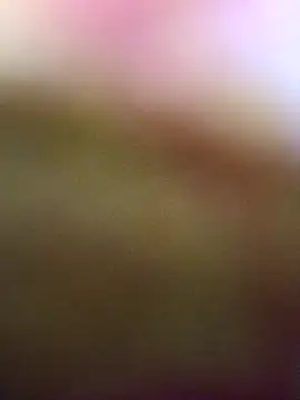 Sexyranibhabhi online show from April 8, 6:04 am