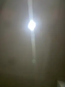 pawmistry online show from March 5, 3:57 am