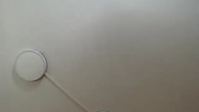 salome daniel online show from October 4, 8:46 pm