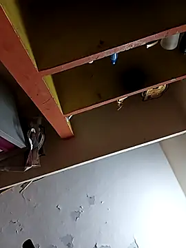 Thamarai28 online show from March 15, 2:08 pm