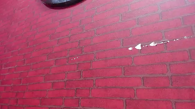 WALESKABBW ASS online show from March 8, 1:04 pm