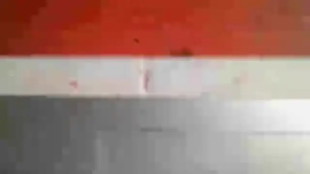 ALANA 150 online show from April 7, 1:46 pm