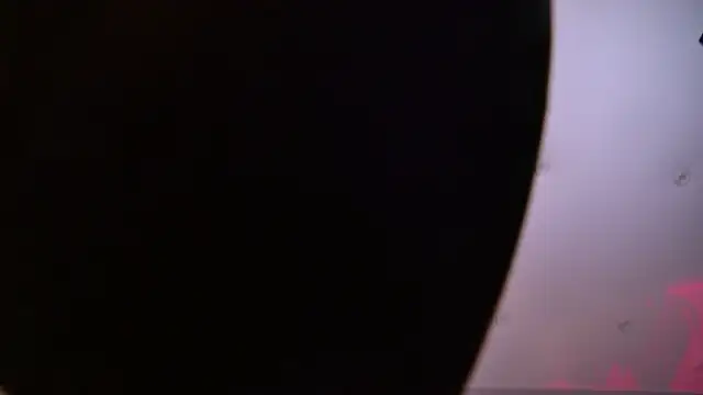 AriWild online show from June 17, 5:53 am