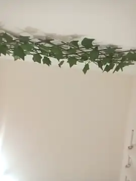 Loiroatv36 online show from April 1, 1:06 am