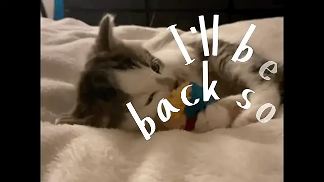 FlowMia online show from October 18, 7:26 pm