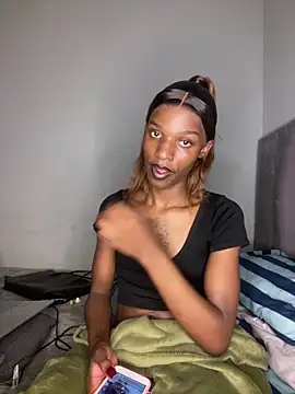 Trans fairy online show from April 11, 9:29 pm