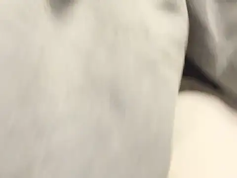 kabikabi makaron online show from February 12, 10:39 am