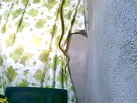 Sweeetgurll online show from November 5, 1:22 am