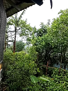 ALIENHR38 online show from April 26, 4:43 am