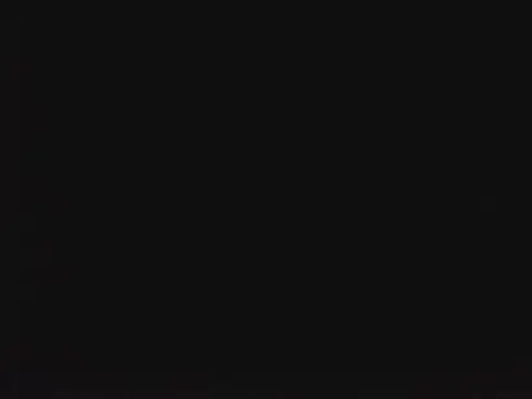 SienaWild online show from January 13, 10:03 pm