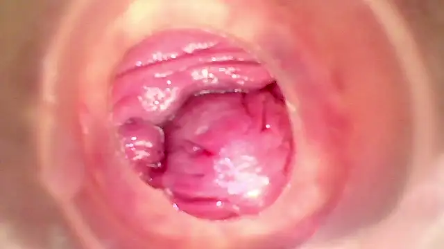 shannon kinne  online show from January 15, 11:00 pm