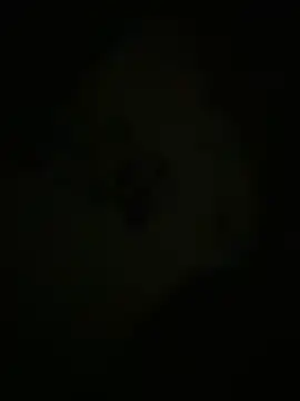 BubblyVibes online show from October 25, 8:48 pm