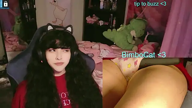 BimboCat online show from June 13, 8:06 pm