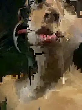 mara rosseX online show from November 9, 6:31 am