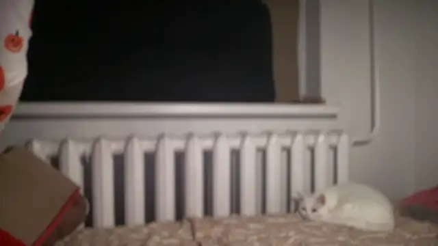 Aphr0ditee online show from March 12, 7:38 pm