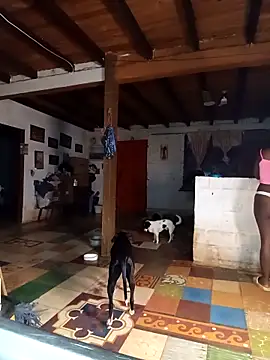 ChanneldelaCroix online show from April 15, 10:49 am