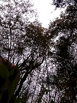 Jyoti sekh online show from February 18, 12:48 pm