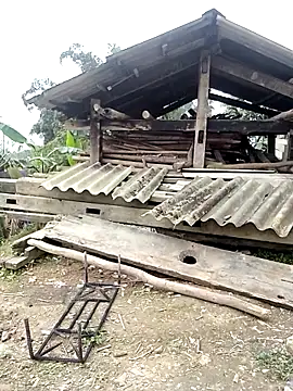 him220 online show from March 5, 8:21 am