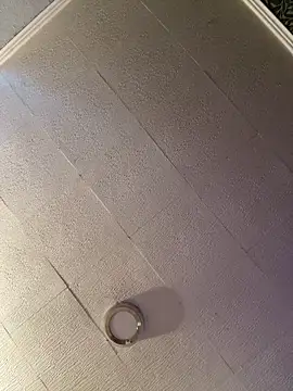 Evelin199 online show from April 10, 3:40 pm