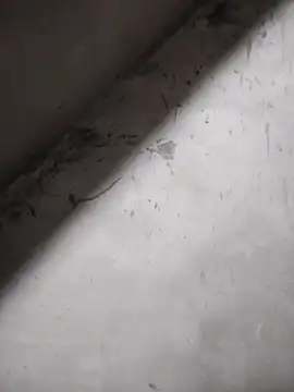 miray- online show from March 10, 1:04 pm