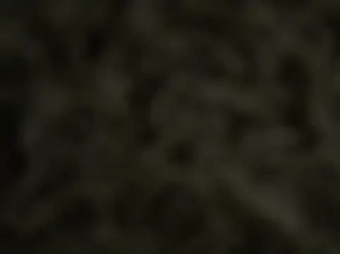 oldpartner online show from July 27, 8:44 am