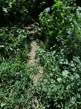 AlyssaFoxx  online show from March 4, 7:53 pm