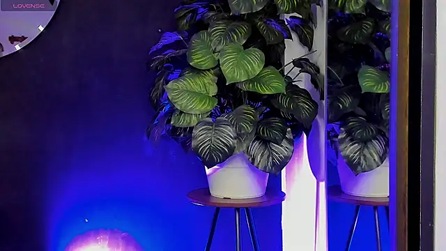 Noaah25  online show from March 22, 3:23 am