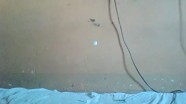 Sexyass100 online show from April 10, 11:49 am