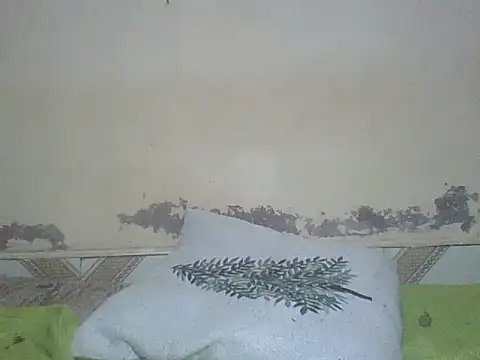Sexyass100 online show from July 15, 7:40 pm