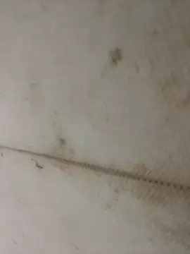 Miu Xinh online show from April 11, 5:05 pm